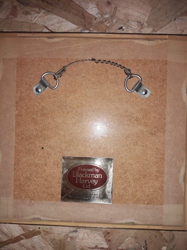 Stephen Whittle Limited Edition LAKELAND BRIDGE 118/200 GERAHMT GUTER ZUSTAND - Bild 3 von 7