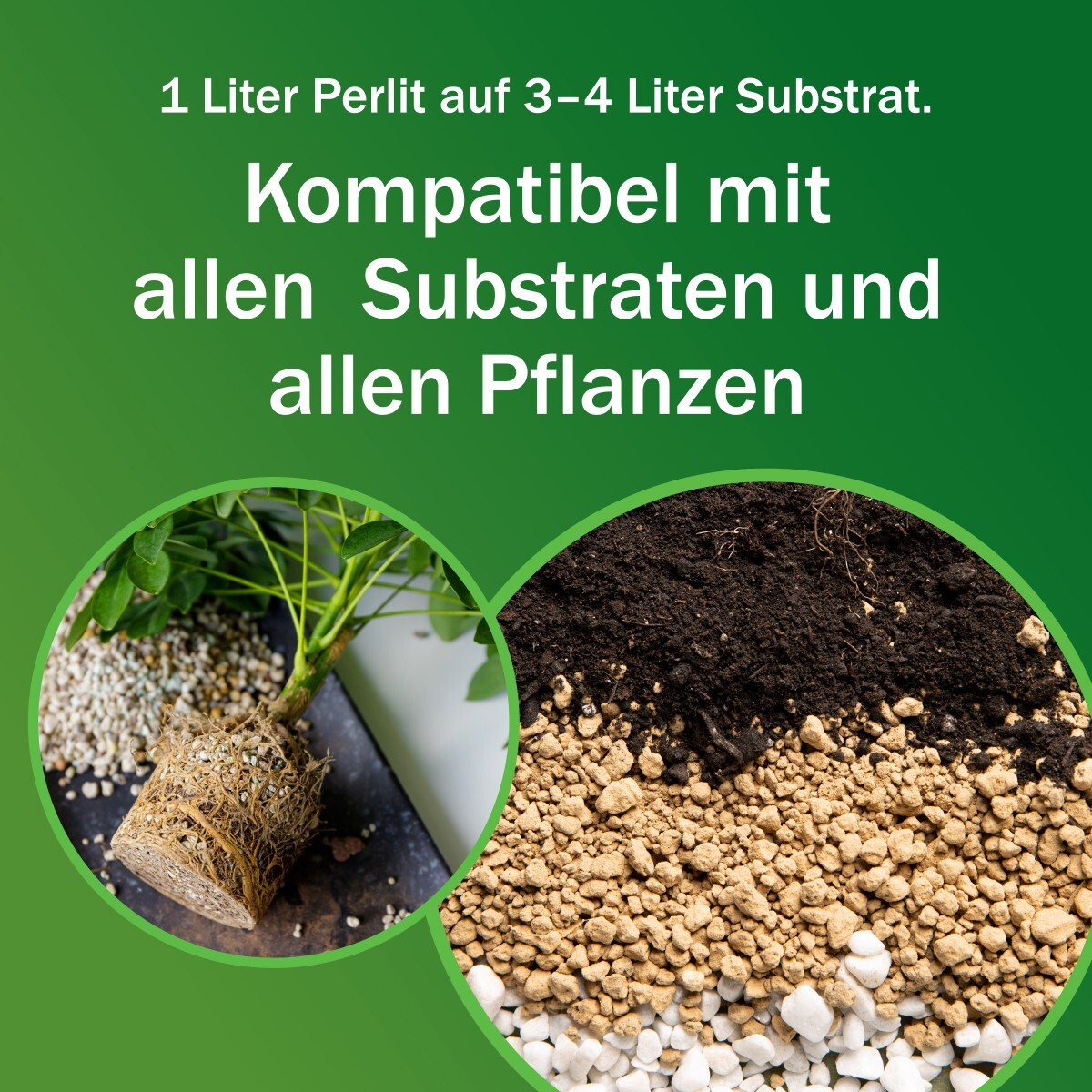 Bild 5 von 5