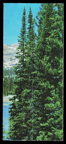 Vintage großes Lot (30+) Colorado Karten & Nationalparkführer - Bild 15 von 24