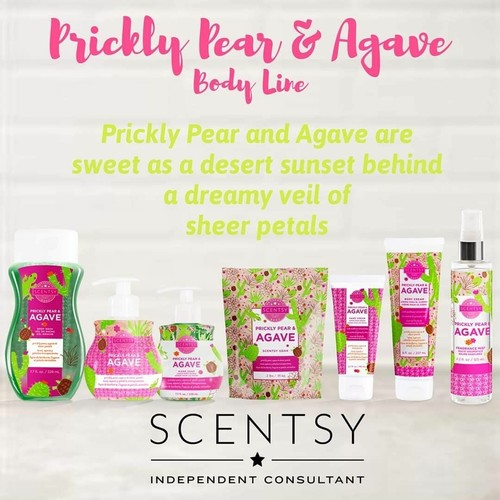 SCENTSY BODY Scrub Zucchero / Lavaggio Corpo / PACCHETTO SAPONE MANI & UOMO corrente ritirata - Foto 89 di 182