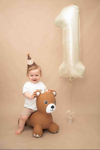 HAPPY HOPPERZ Tierwippe. Space Hopper aufblasbare Fahrt auf Hüpftieren - Bild 48 von 103