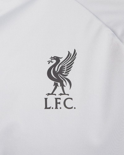 NIKE Liverpool FC Strike 1/4 Zip Drill Top Wolf Gray Black Storm Fit Size L $115 - Picture 5 of 6