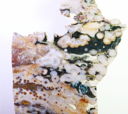 13,38" Natürlicher Ozean Jaspis Achat Auge Quarz Kristall Scheibe Display Exemplar - Bild 2 von 11