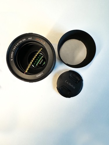 Panasonic Lumix 100-300mm Objektiv - Bild 2 von 4