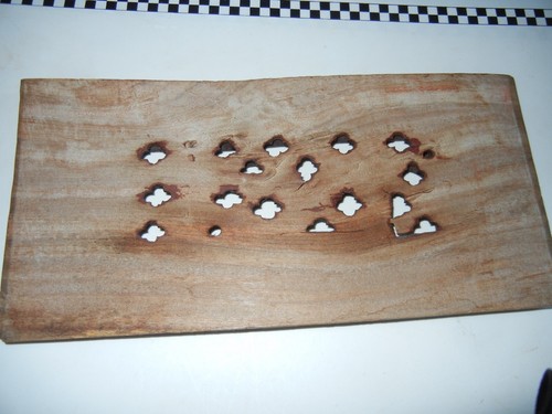 Chinesische geschnitzte Holzplatte - Bild 5 von 5