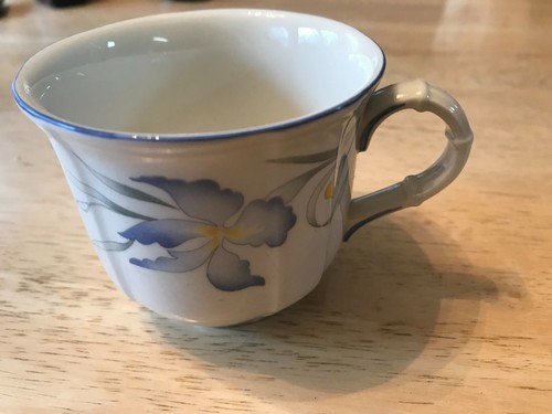 Taza y platillo floral Villeroy & Boch RIVIERA VITRO 1748 Alemania (elección de talla) - Imagen 5 de 9