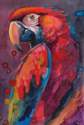 ARA Papagei Original Gemälde 30 x 40 cm Aquarell
