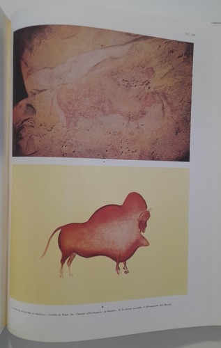 L'arte dell'antica età della pietra - Le Lettere Paolo Graziosi - Bild 12 von 12