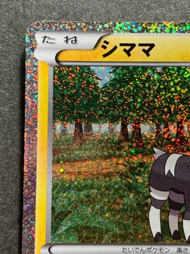 Pokemon card Blitzle 005/009 CS1 2010 Pokémon TCG Japanese Holo Nintendo - Picture 2 of 12