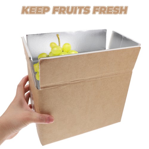 2pcs Insulated Shipping Boxes With Aluminum Foil Liner For Shipping Food - Picture 2 of 12