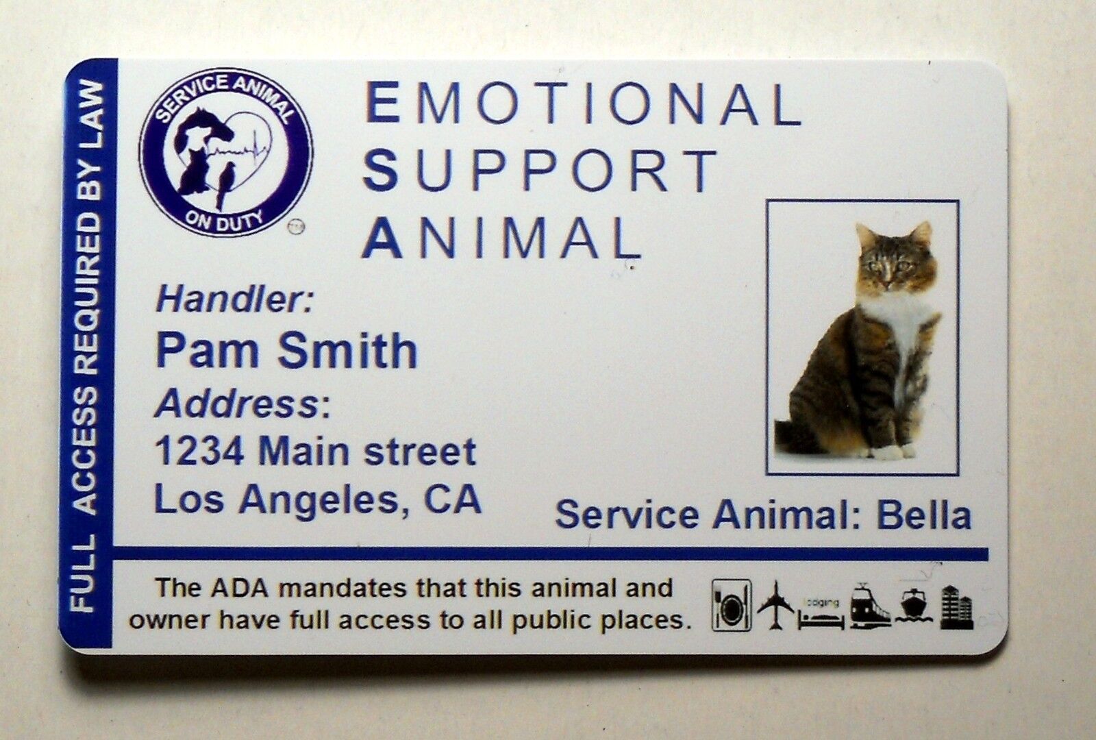 Emotional Support Animal ID Card / Badge Service Cat Service Feline ID Card  32 | eBay