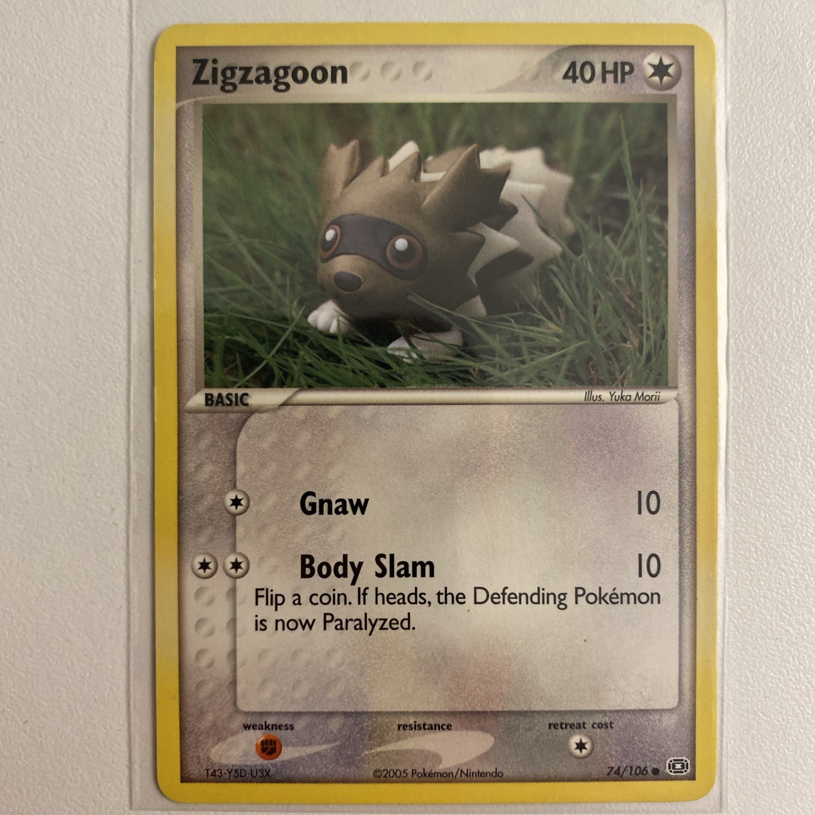 Pokémon Zigzagoon Card 74/106 Emerald Regular NM Condition