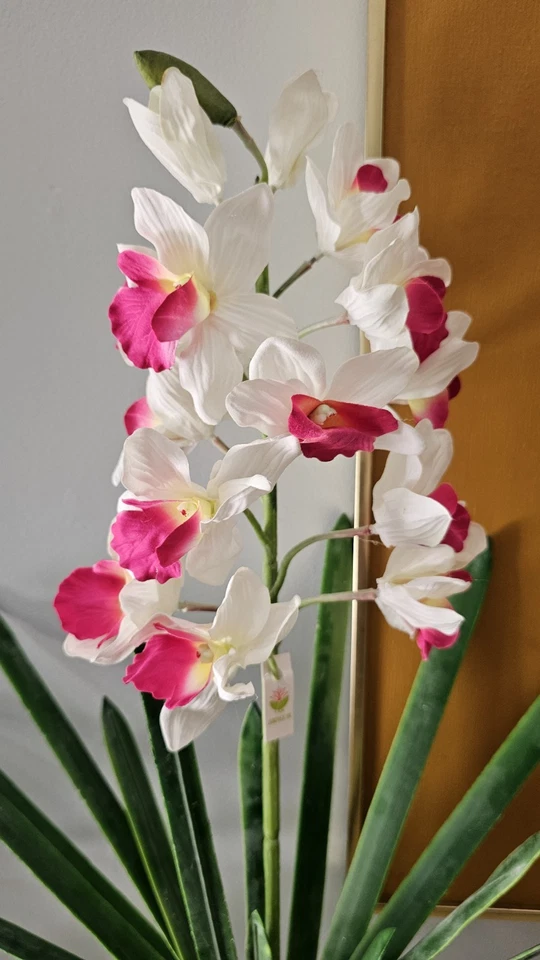 Orquídea Artificial Holcoglossum Blanco Púrpura Imitación Planta Realista 26" Foto 2 de 4