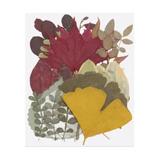 35 Pcs Dried Pressed Flower Leaves Bulk for Resin, Autumn Yellow