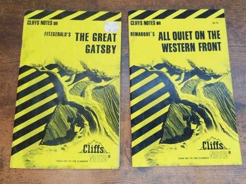 Lot of 15 Cliffs Notes Shakespeare Homer Walden Hemmingway Swift Beowulf Chaucer - Imagen 7 de 9