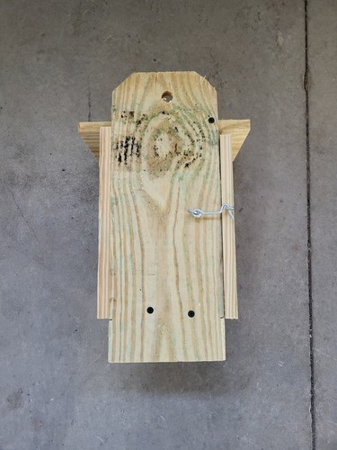 1 Bluebird Haus aus behandeltem Holz - Bild 6 von 6