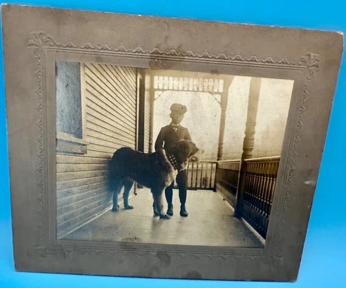 Antique Photograph LARGE Cabinet Card Boy On Porch With Dog St Bernard