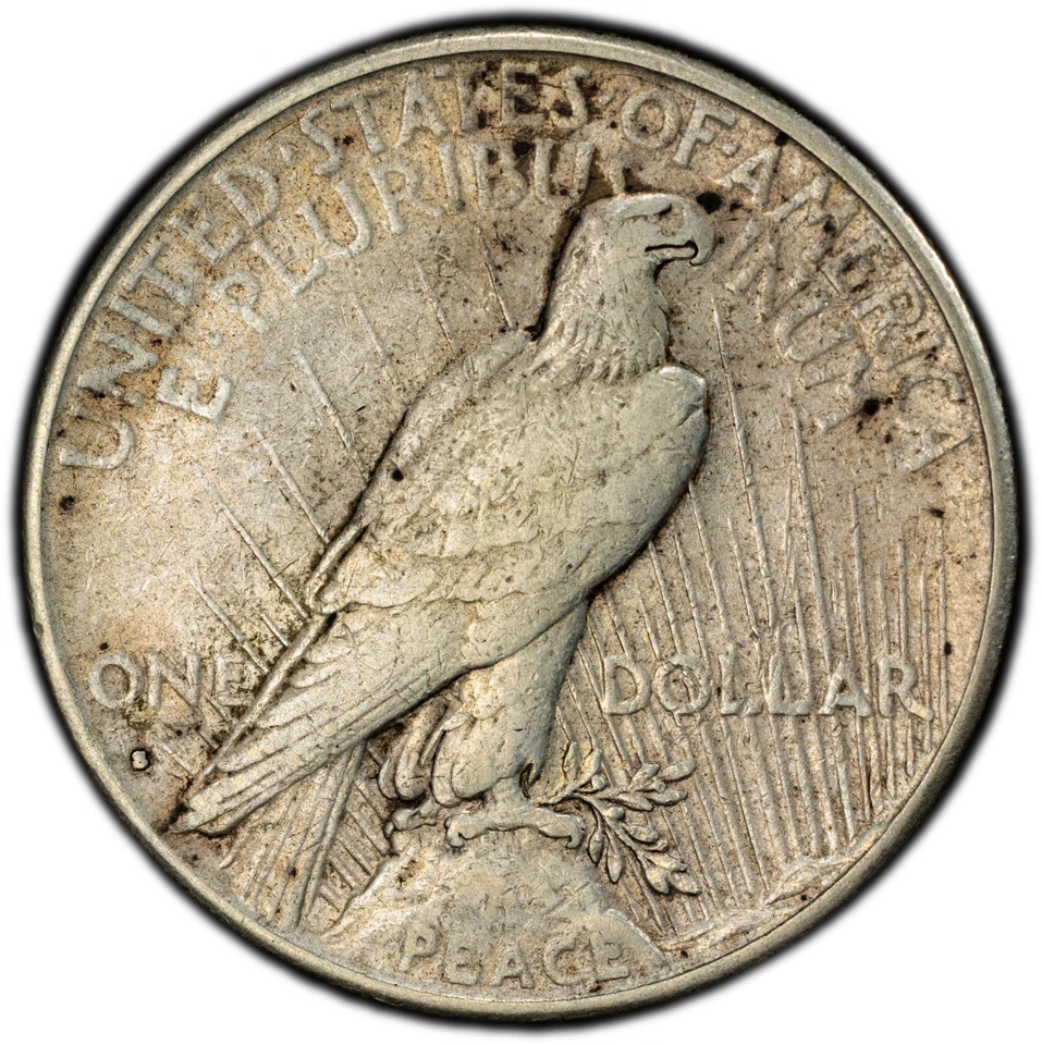 Dólar de plata Peace 1934-S graduación profesional VF35 San Francisco Mint #53932794 - Fecha clave Foto 4 de 4