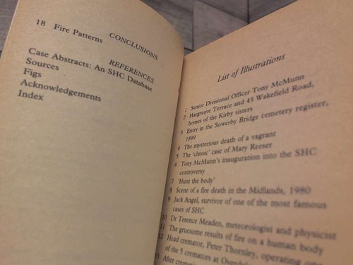 Spontaneous Human Combustion  by Jenny; Hough Peter Randies Bantam Books - Picture 4 of 5