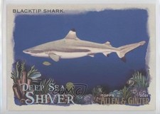 2021 Topps Allen & Ginter's Deep Sea Shiver Blacktip Shark #DSS-8 6ki