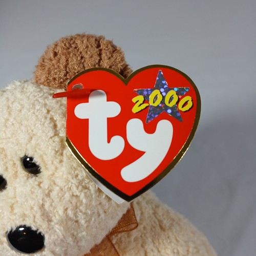 Huggy TY Beanie Baby 2000 RARE Tag Errors -  PE Pellets Hang Tag - Bild 2 von 13