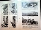 Picture 4 of 4