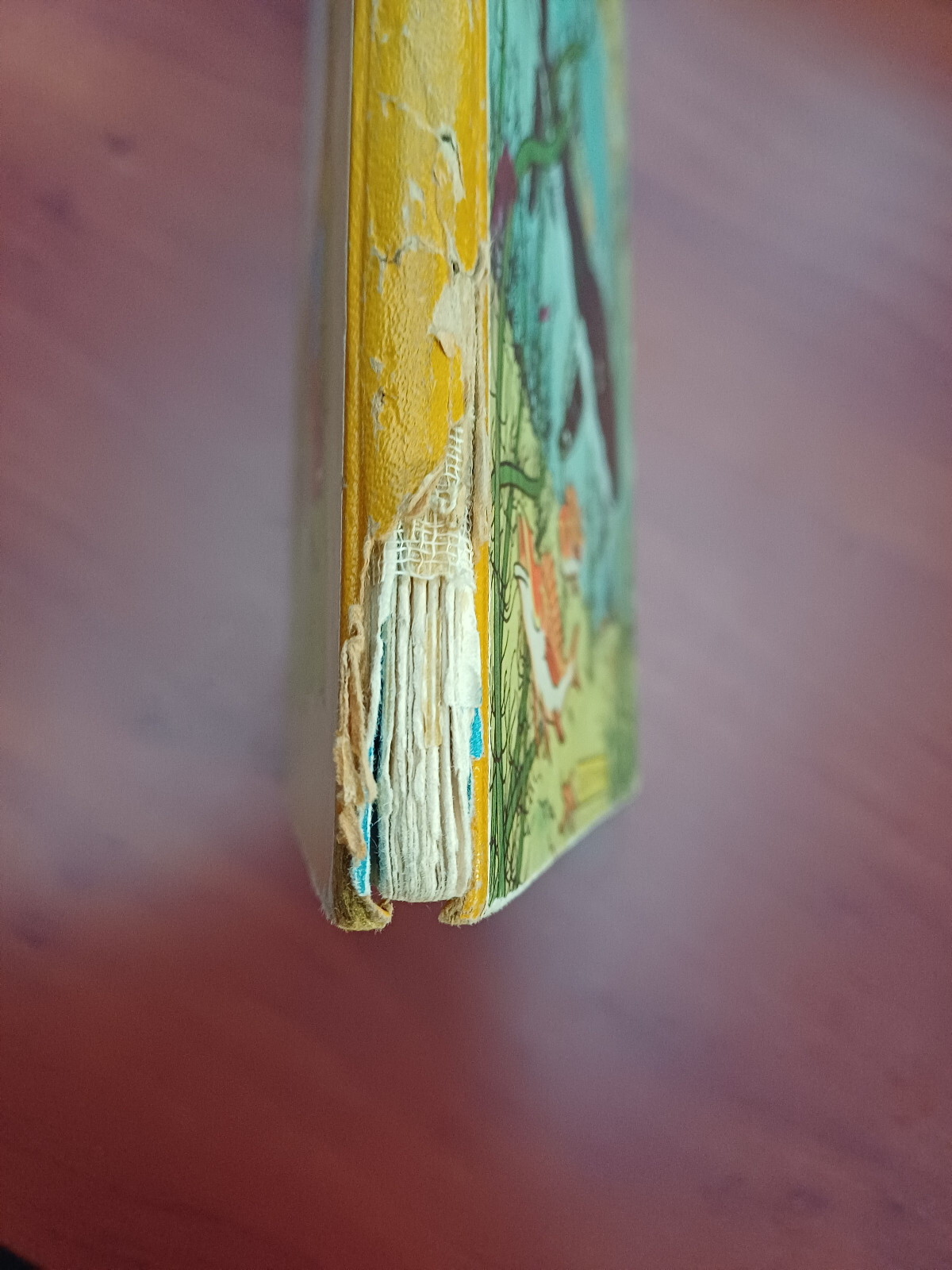 Bild 7