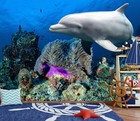 3D Friendly Dolphins I2911 Wallpaper Mural Self-adhesive Removable Sticker Erin