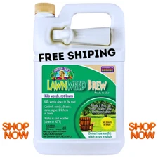 Bonide Lawnweed Brew 128oz RTU Spray – Weed & Moss Killer
