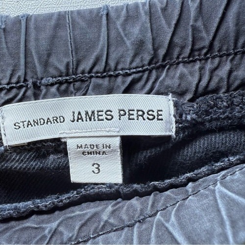 Standard JAMES PERSE Soft Cargo Tapered Pants in Dark Gray Utility Size 3 - Picture 4 of 9