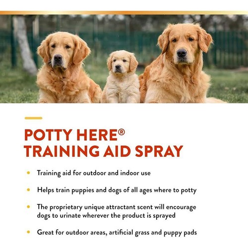 Potty Training Spray Dogs & Puppies Indoor Outdoor Use Training Aid 8oz - Picture 5 of 8