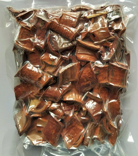 Dried Plant part of Nami Nam ñam-ñam Cynometra cauliflora 250g - Bild 16 von 24