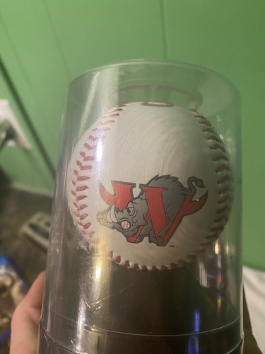 Raleigh Hot Stove League Banquet, 2003 Champions, Minor League Souvenir Baseball - Picture 5 of 7
