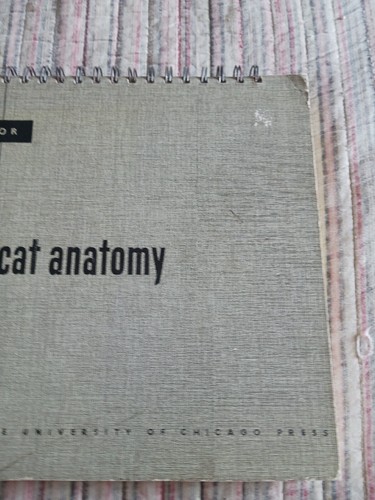 An Atlas Of Cat Anatomy University Of Chicago 1950/ 1968 Veterinary Manual Text - Picture 3 of 13