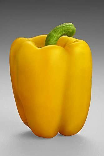 Best Artificial Realistic Decorative Fruit for Display Decor Kitchen Table Bowl - Picture 56 of 61