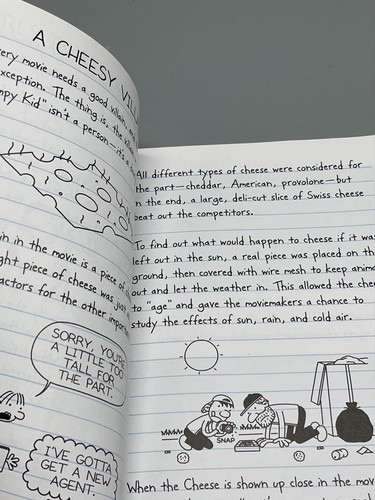 The wimpy kid movie diary book jeff kinney white 2010 copyright 215 pages READ - Picture 5 of 5