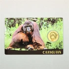 Gabon 1,000 Francs Orangutan in Blister | 1/1000 Ounce 999 Gold
