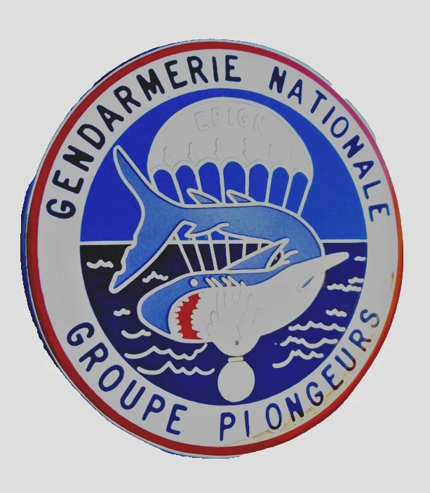 rare nouveau requin bleu - Photo 1/2