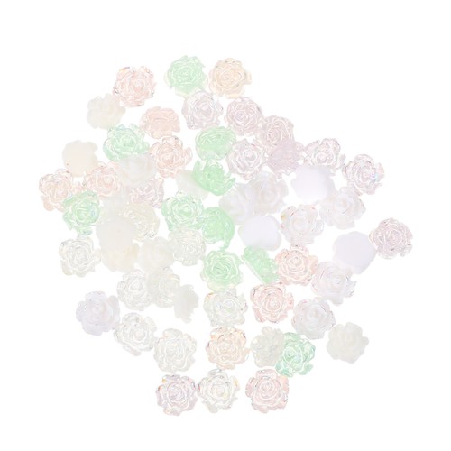 60 piezas dijes de uñas resina 3D flores adornos florales para uñas - Imagen 3 de 12