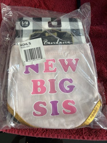 NEU BIG SIS Hunde Bandana Medium Big Sister PINK - Bild 1 von 5