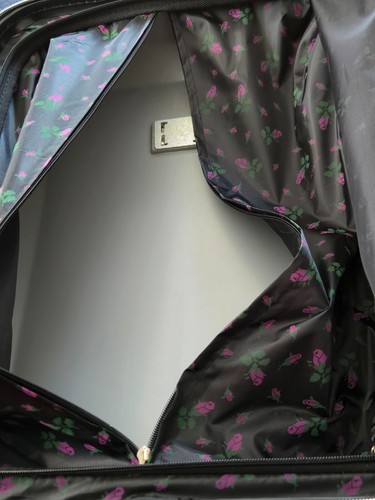 Valigia Betsey Johnson Stripe/Roses 20 pollici rigida bagaglio a mano trolley nuova senza etichette - Foto 18 di 24