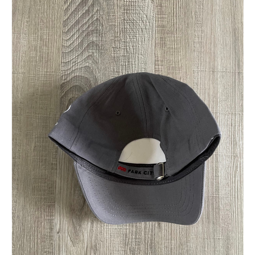 Gorra de béisbol Vail Resorts unisex gris Park City Utah Flexfit Pepsi hebilla sombrero - Imagen 2 de 5