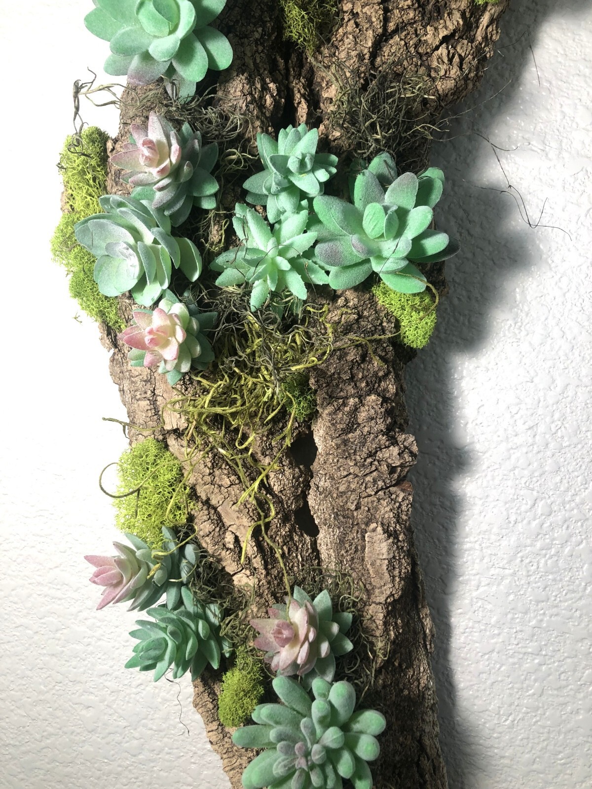 Picture 8 of 20