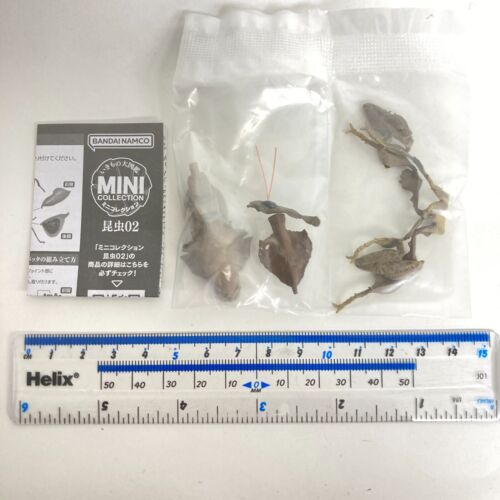Bandai Gashapon Mini Colección Figura Insecto 02 Fantasma Mantis Marrón Japón - Imagen 3 de 4