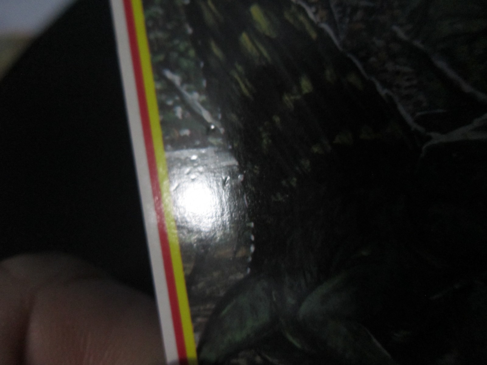 Picture 4 of 6