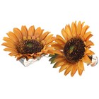  2 Pcs Gardinenzubehör Vorhangklammer Clip Tiebacks Von Vorhängen