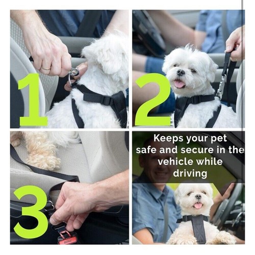Dog Seat Belt Pet Dog Cat Car Seatbelt Safety Tether - 2 Pack - Adjustable Harn - Picture 3 of 9