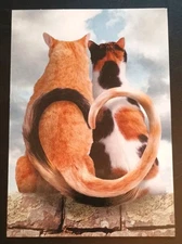 Funny Anniversary Card 