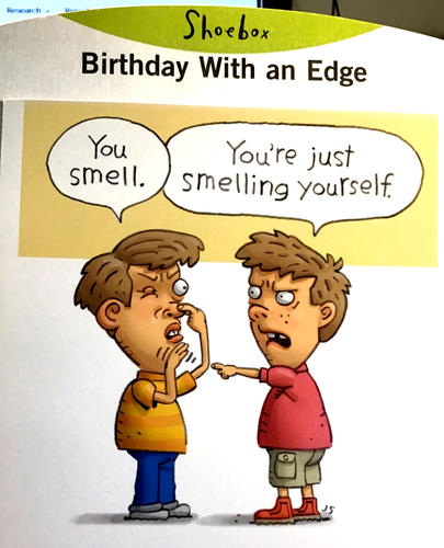 Shoebox Funny Birthday Card for SISTER or BROTHER "You Smell" Hallmark AD10 - Picture 2 of 3