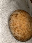 Picture 6 of 10
